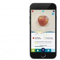 L'étude confirme en effet que manger dans une fenêtre réduite à 10 heures dans la journée, peut protéger contre l'obésité et le diabète. L'étude confirme en effet que manger dans une fenêtre réduite à 10 heures dans la journée, peut protéger contre l'obésité et le diabète.