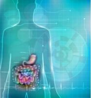 Comme pour toutes maladies chroniques, les patients atteints de MICI sont contraints à de fréquentes consultations à l'hôpital ou en ville, auprès d’un gastro-entérologue, en raison des changements rapides dans l’évolution de leur maladie. Comme pour toutes maladies chroniques, les patients atteints de MICI sont contraints à de fréquentes consultations à l'hôpital ou en ville, auprès d’un gastro-entérologue, en raison des changements rapides dans l’évolution de leur maladie.