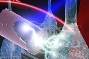 Une électrode ultralégère activée par la lumière, moins invasive, qui utilise l'effet photoélectrique pour la stimulation neurale Une électrode ultralégère activée par la lumière, moins invasive, qui utilise l'effet photoélectrique pour la stimulation neurale