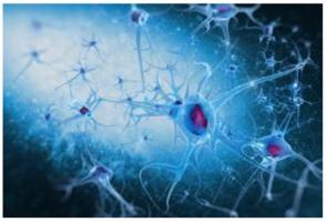 Un outil basé sur l’intelligence artificielle permet de détecter, de manière plus précoce, une forme courante d'épilepsie chez l'Enfant Un outil basé sur l’intelligence artificielle permet de détecter, de manière plus précoce, une forme courante d'épilepsie chez l'Enfant