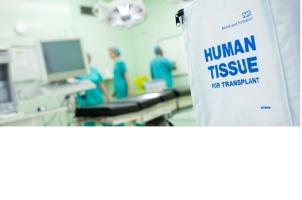 Les plaies de jour peuvent cicatriser plus rapidement, en cause les horloges internes des cellules de la peau. 