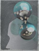 Lorsque les chercheurs privent les animaux de la zone du cerveau qui contrôle l’horloge ou le cycle circadien de 24 heures, les niveaux de graisse demeurent inchangés quelle que soit l’heure du repas. Lorsque les chercheurs privent les animaux de la zone du cerveau qui contrôle l’horloge ou le cycle circadien de 24 heures, les niveaux de graisse demeurent inchangés quelle que soit l’heure du repas.