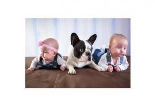 Trop préserver les nouveau-nés des allergènes ou pathogènes peut renforcer leur risque d'allergies, plus tard dans la vie Trop préserver les nouveau-nés des allergènes ou pathogènes peut renforcer leur risque d'allergies, plus tard dans la vie