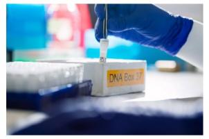 Découverte d'indicateurs présents dans certains cas de cancers de la prostate à faible risque prédictifs de cancers à risques intermédiaire et élevé. Découverte d'indicateurs présents dans certains cas de cancers de la prostate à faible risque prédictifs de cancers à risques intermédiaire et élevé.