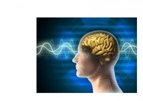 Les personnes atteintes de schizophrénie ont des hippocampes « hyperactifs », qui favorisent ces symptômes intrusifs d’hallucinations. Les personnes atteintes de schizophrénie ont des hippocampes « hyperactifs », qui favorisent ces symptômes intrusifs d’hallucinations.