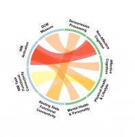 La mémoire travail est caractérisée par la capacité de stocker et de traiter l'information pertinente lors d’une tâche à accomplir. 