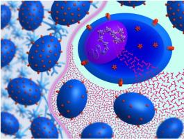 Les EAF modifient le paysage épigénétique des cellules T afin de réduire le développement de ces cellules T pathogènes. Les EAF modifient le paysage épigénétique des cellules T afin de réduire le développement de ces cellules T pathogènes.