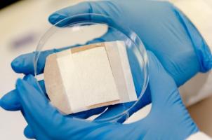 Un « échafaudage » universel donc, adaptable à tous types de cicatrisation. Un « échafaudage » universel donc, adaptable à tous types de cicatrisation.