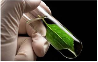 Selon les Nations Unies, 30% des aliments produits ce qui représente 1,3 milliard de tonnes chaque année, sont mis au rebut. Selon les Nations Unies, 30% des aliments produits ce qui représente 1,3 milliard de tonnes chaque année, sont mis au rebut.