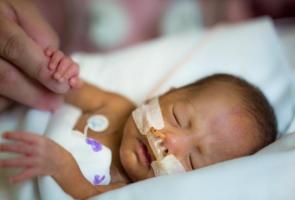 Le lait humain intranasal se révèle une intervention sûre et praticable dans la prise en charge de l'hémorragie intraventriculaire, une cause grave de morbidité chez les nourrissons prématurés (Visuel Fotolia) Le lait humain intranasal se révèle une intervention sûre et praticable dans la prise en charge de l'hémorragie intraventriculaire, une cause grave de morbidité chez les nourrissons prématurés (Visuel Fotolia)