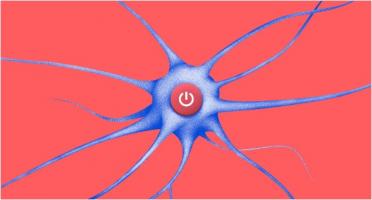 Des médicaments déjà approuvés, à repositionner, auraient en effet la capacité de cibler de nouvelles protéines clés identifiées et donc le potentiel de ralentir ou d'inverser les lésions caractéristiques de la maladie (Visuel Fotolia) Des médicaments déjà approuvés, à repositionner, auraient en effet la capacité de cibler de nouvelles protéines clés identifiées et donc le potentiel de ralentir ou d'inverser les lésions caractéristiques de la maladie (Visuel Fotolia)