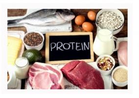 Chez les personnes âgées atteintes d'ostéoporose, un apport en protéines alimentaires supérieur aux niveaux actuellement recommandés peut contribuer à réduire la perte osseuse et le risque de fracture, en particulier de fracture de la hanche, à condition de respecter aussi des apports en calcium adéquats. Chez les personnes âgées atteintes d'ostéoporose, un apport en protéines alimentaires supérieur aux niveaux actuellement recommandés peut contribuer à réduire la perte osseuse et le risque de fracture, en particulier de fracture de la hanche, à condition de respecter aussi des apports en calcium adéquats.