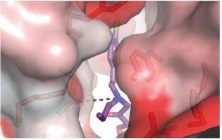 Un composé chimique de la série 93 (en violet) rejoint le récepteur NMDA d'un neurone Un composé chimique de la série 93 (en violet) rejoint le récepteur NMDA d'un neurone