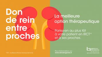 Agir collectivement pour sensibiliser sur le don de rein à un proche contribue à mieux faire accepter cette alternative thérapeutique au grand public (Visuel Agence de la Biomédecine) Agir collectivement pour sensibiliser sur le don de rein à un proche contribue à mieux faire accepter cette alternative thérapeutique au grand public (Visuel Agence de la Biomédecine)