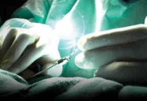 Après le Le neurofeedback, la stimulation cérébrale profonde se montre prometteuse dans le traitement des acouphènes Après le Le neurofeedback, la stimulation cérébrale profonde se montre prometteuse dans le traitement des acouphènes