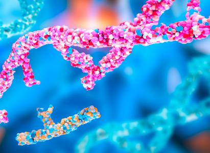 Un nouveau paradigme et une nouvelle ère pour la médecine de précision (Visuel Adobe Stock 1041264544)