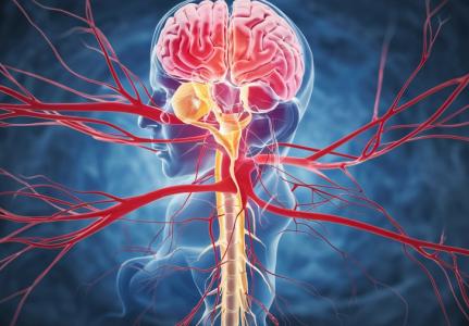 L'étude décrit la découverte d'un nouvel analgésique qui soulage la douleur mais avec moins d'inconvénients que les opioïdes (Visuel Adobe Stock 1052427442)