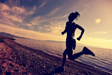 Si les muscles apportent la capacité physique de voler, ou chez les humains de se déplacer, c'est bien le cerveau qui coordonne la planification stratégique du mouvement. Mais comment ? 