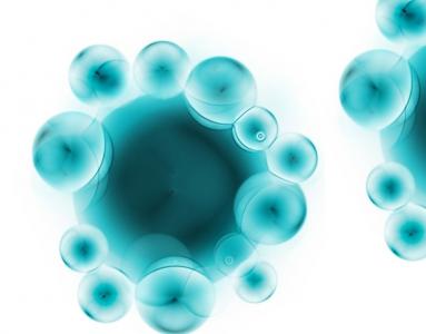 Cette équipe de biologistes et de scientifiques de la Penn State se penche sur la biologie des holobiontes ou supraorganismes ou « assemblages dynamiques de cellules hôtes et microbiennes en interaction » (Visuel Adobe Stock 12357031)