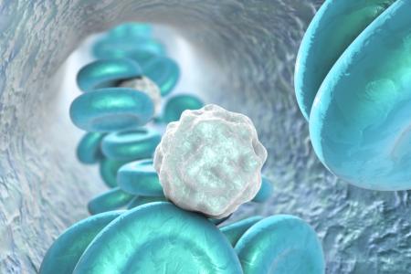 Cibler l’horloge ou ses gènes pourrait permettre de renforcer la capacité à lutter contre les infections (Visuel Adobe Stock 129007876)