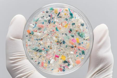 Les microplastiques minent aussi la santé osseuse (Visuel Adobe Stock 1454991029)