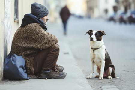 L’intégration des soins de santé humaine et animale améliore l'accès aux soins pour les personnes sans-abri (Visuel Adobe Stock 1477834668)