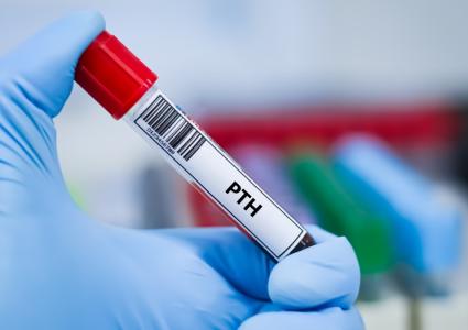 L'hormonothérapie pourrait bloquer les signaux nerveux, sources de douleur dans la colonne vertébrale vieillissante (Visuel Adobe Stock 1876409285)