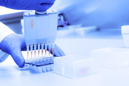 Le blocage de l'action des 3 gènes qui empêchent les vers de devenir obèses leur permet également de vivre plus longtemps (Visiuel Adobe Stock 232290678)