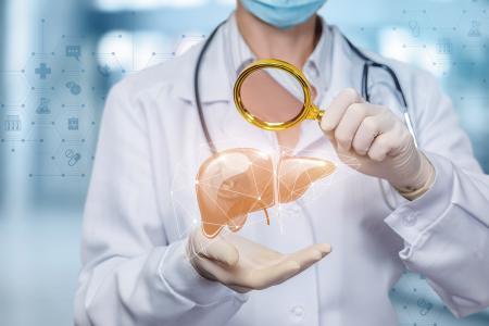 Le lactate d'éthyle, un composé non éthanolique des boissons alcoolisées, pourrait en effet soulager les maladies hépatiques associées à l'alcool (Visuel Adobe Stock 284475089)