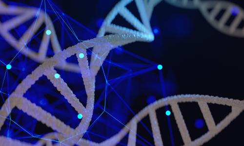 L'étude décrypte avec précision les effets du vieillissement dans le développement de la maladie d'Alzheimer à apparition tardive (Visuel Adobe Stock 350291333)