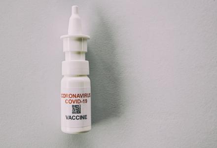La vaccination intranasale serait plus simple à mettre en œuvre chez les plus jeunes et les plus âgés (Visuel Adobe Stock 446194296)