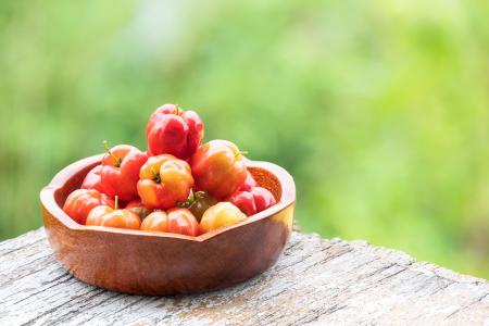 L'étude révèle le potentiel des plantes brésiliennes dans la lutte contre le cancer de l'estomac (Visuel Adobe Stock 461020195)