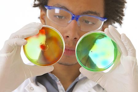  Les effets combinés du microbiote et de l’infection à SARS-CoV-2 dans les poumons, contribuent à expliquer la gravité de la maladie chez ces patients à comorbidités (Visuel AdobeStock_53717225). 