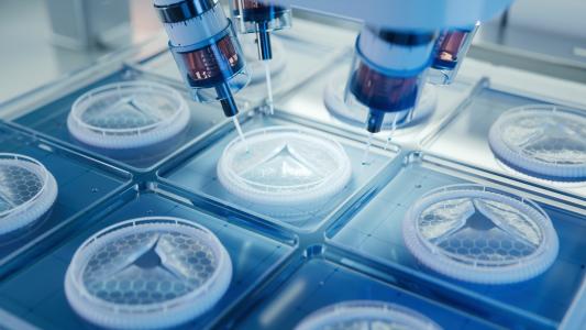 Traiter les maladies cutanées rares en greffant de la peau saine (Visuel Adobe Stock 730832935)