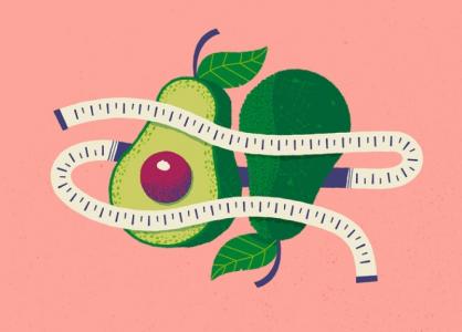 Facteur de satiété, d’équilibre lipidique et métabolique, de prévention de trouble cardiaque, les avocats sont à nouveau documentés comme un bon « répartiteur » de graisse abdominale chez les femmes (Illustration par Michael Vincent)