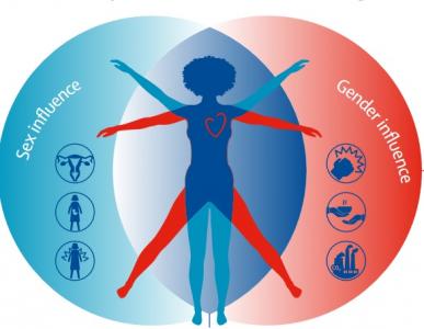 Ces experts appellent à travailler de manière urgente à réduire le fardeau mondial des maladies cardiovasculaires chez les femmes (Visuel The Lancet)