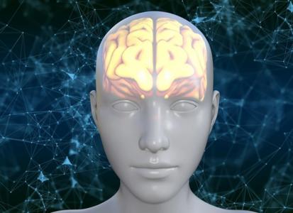 Nos choix, aussi simples ou complexes soient-ils, passent tous par une usine chimique bien huilée : notre cerveau (Visuel Pixabay)