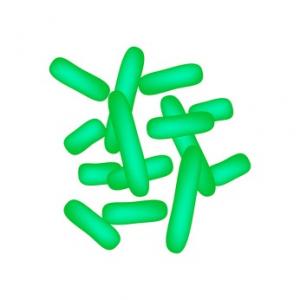 La consommation durant la grossesse de suppléments d'huile de poisson et de yaourts probiotiques pourrait réduire le risque d’allergies chez l’enfant