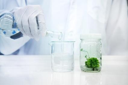 Ce nouvel hydrate de carbone complexe présent dans la mousse pourra être exploité à des fins sanitaires ou autres