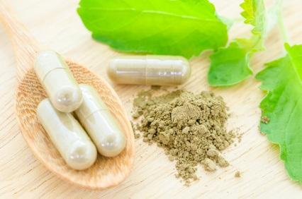 Les plantes médicinales sont, également et traditionnellement, utilisées pour la perte de mémoire et pour favoriser la santé cognitive (Visuel Fotolia 98390165)