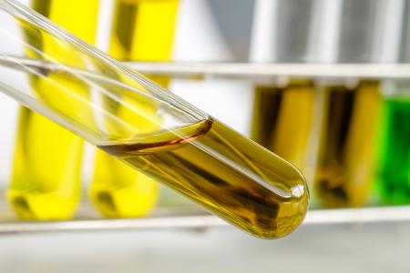 Jusque-là plutôt considéré comme un facteur d’inflammation, cet omega-6, l’acide linoléique, présent dans les huiles à base de graines, pourrait, au contraire, contribuer à réduire les risques de maladies cardiaques et de diabète de type 2 (Visuel Adobe Stock 299937062)