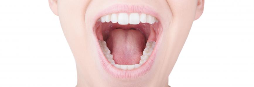 Ce grincement ou le serrement involontaire et plus fréquemment nocturne des dents, le « bruxisme » peut entraîner des conséquences sévères, jusqu’à endommager les articulations temporo-mandibulaires et induire des douleurs et des maux de tête (Visuel Adobe Stock 1248787499)