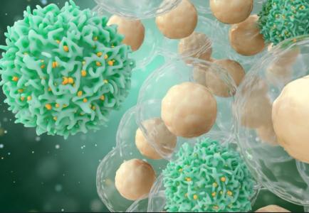 Ce bêta-HPV peut directement provoquer un cancer de la peau chez les personnes immunodéprimées (Visuel Adobe Stock 279977730)