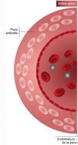 La dysfonction érectile est présentée ici comme le signe avant-coureur d’une maladie cardiovasculaire précoce silencieuse 