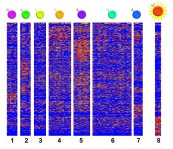 Il s'agit de la première étude à utiliser le séquençage d'ARN monocellulaire pour recueillir des données de cellules se cachant dans des tissus affectés par l'EoE. 