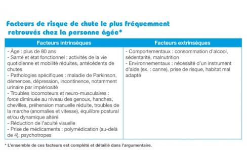 On estime à 9.000 le nombre de décès de personnes âgées de plus de 65 ans associés à une chute, chaque année en France. 