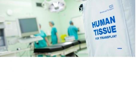 Les plaies de jour peuvent cicatriser plus rapidement, en cause les horloges internes des cellules de la peau. 