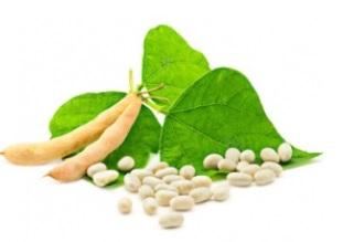 L'étude constate un risque accru de 91% de cancer de la prostate avancé chez les 20% de participants consommant les niveaux les plus élevés d’isoflavones alimentaires