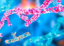 Les technologies CRISPR qui constituent la base de l’édition du génome ou de l’édition de gènes, sont en train de révolutionner la médecine régénérative (Visuel Adobe Stock 1041264544)