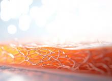 Développé à base de polymères, ce pansement permet l’administration contrôlée de médicaments (Visuel Adobe stock 1112532944)